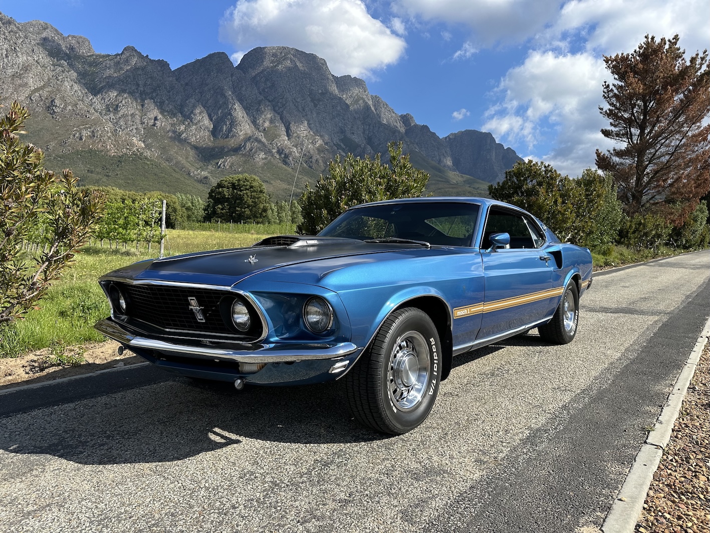 1969 Ford Mustang Mach 1 (390)