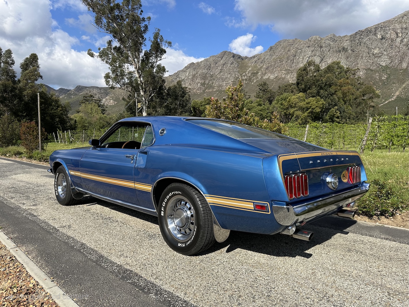 1969  Mustang Mach 1 (390)