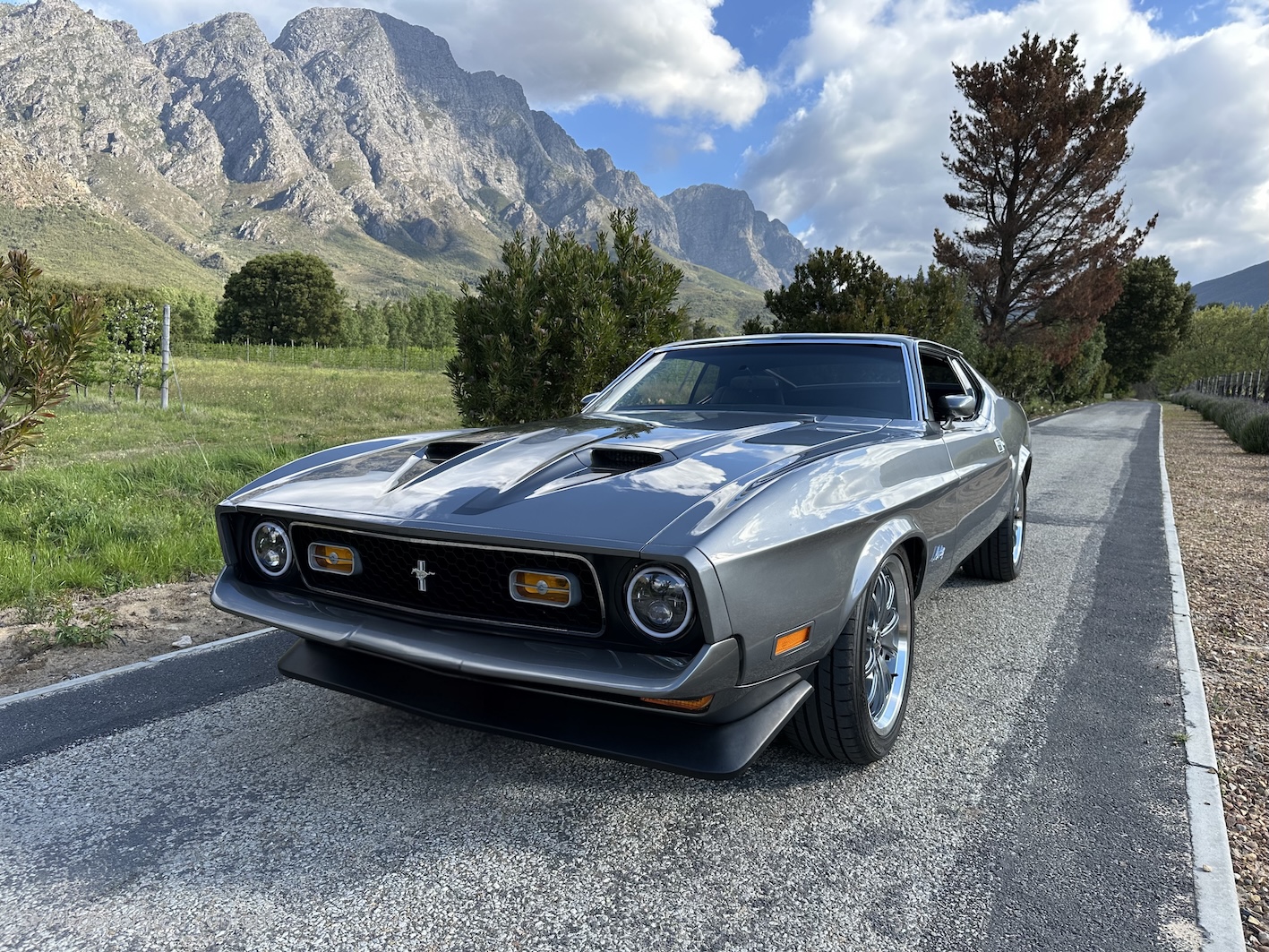 1971 Ford Mustang Mach 1 Facelift 1971 Ford Mustang Mach 1 Facelift